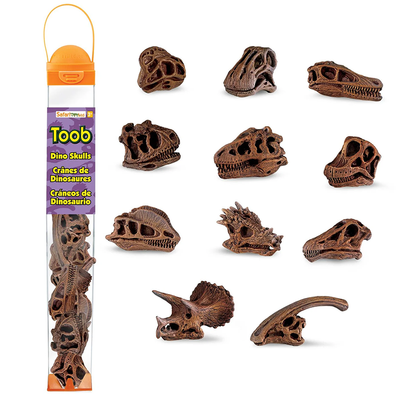 Safari Ltd. Dinosaur Skulls TOOB